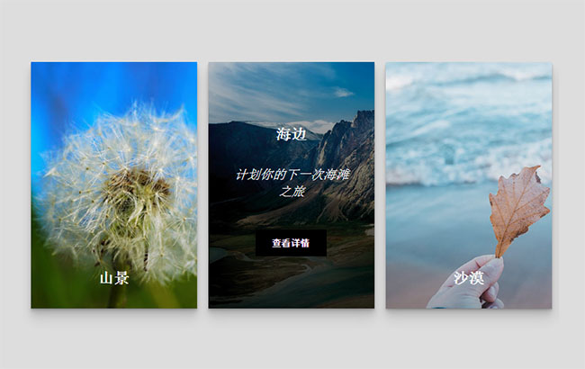 CSS3圖片卡片懸停動畫特效