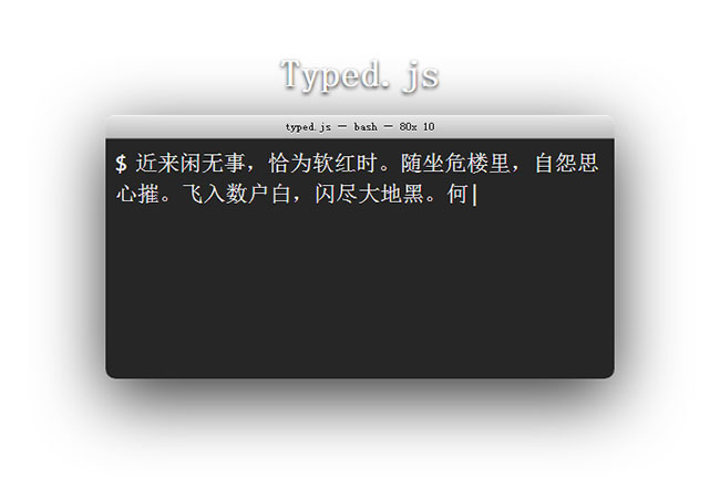 Typed.js程序員編程打字效果
